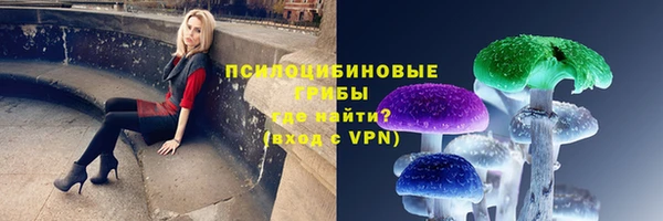 кокс Алексин