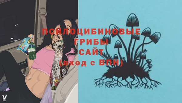 ПСИЛОЦИБИНОВЫЕ ГРИБЫ Алексеевка