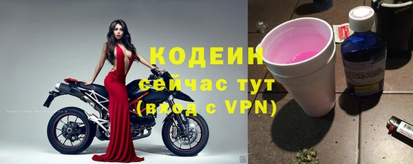 гидра Покачи