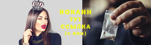 кокс Алексин
