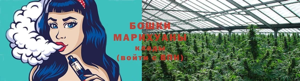 ПСИЛОЦИБИНОВЫЕ ГРИБЫ Алексеевка