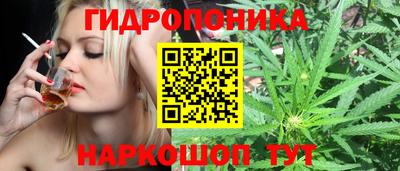 гидра Гусиноозёрск